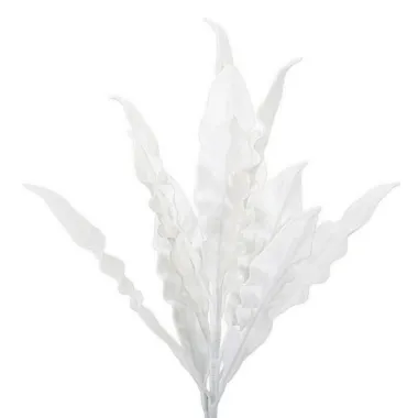 ALOE BIANCO 30X98 cm MIN 10